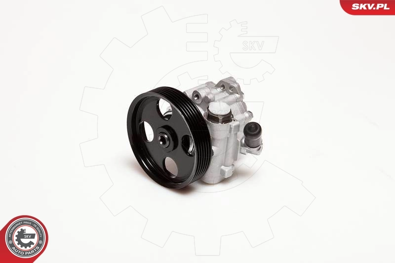 Hydraulic Pump, steering